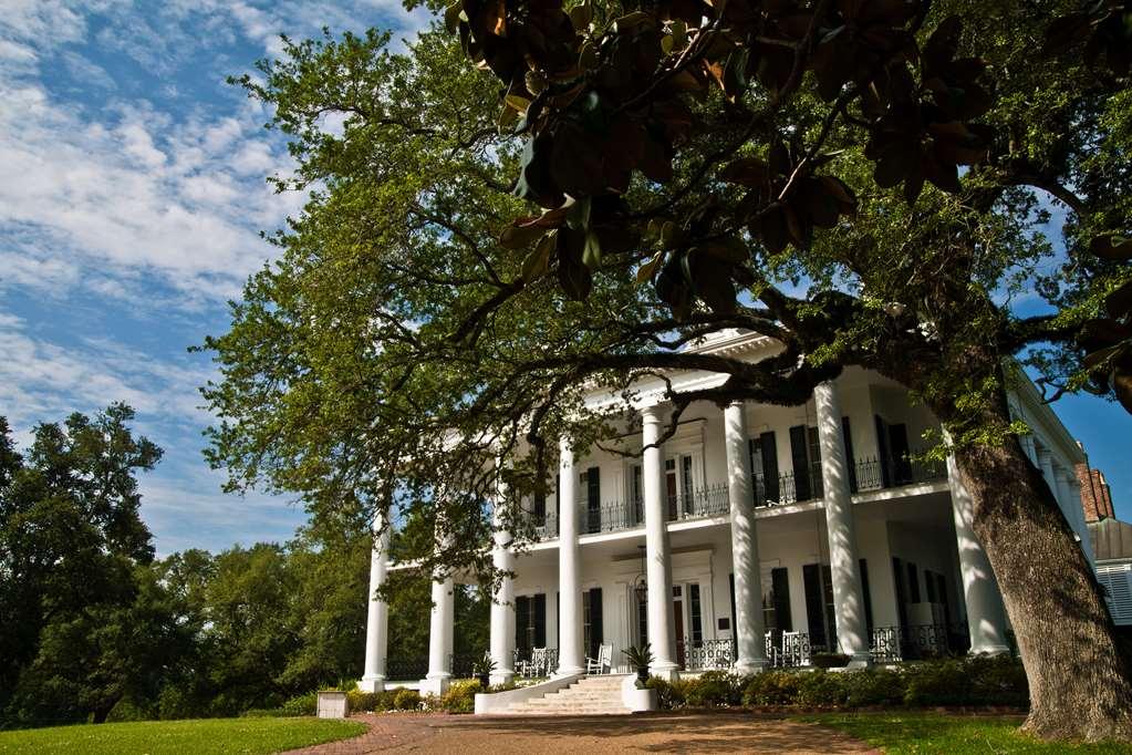 Dunleith Historic Inn ناتشيز، مسيسيبي المظهر الخارجي الصورة