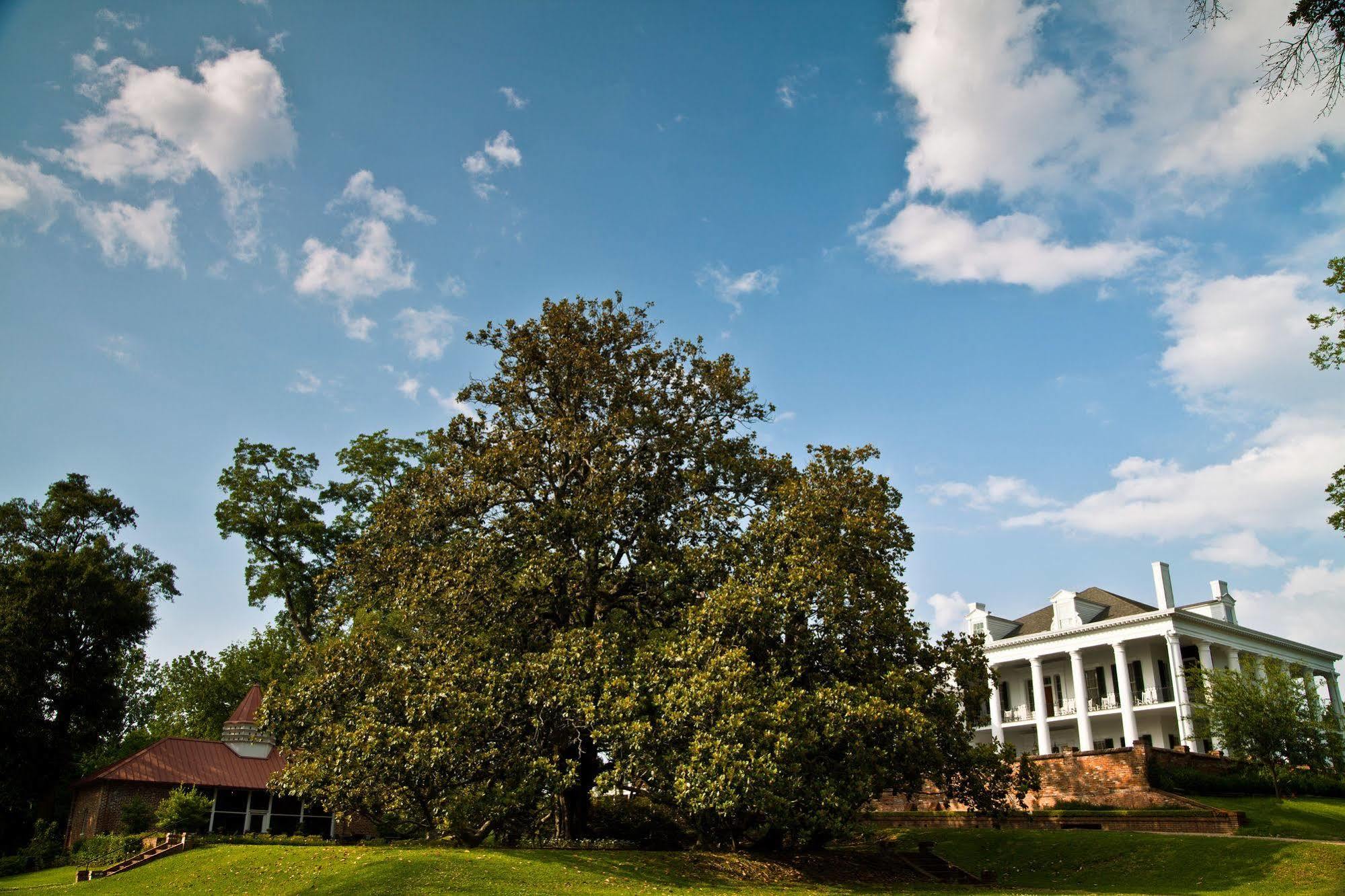 Dunleith Historic Inn ناتشيز، مسيسيبي المظهر الخارجي الصورة